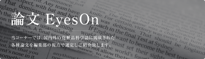 eyeson