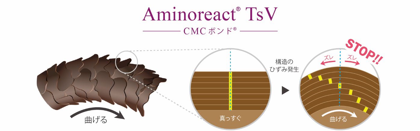 Aminoreact TsV によるハリコシ増加メカニズム