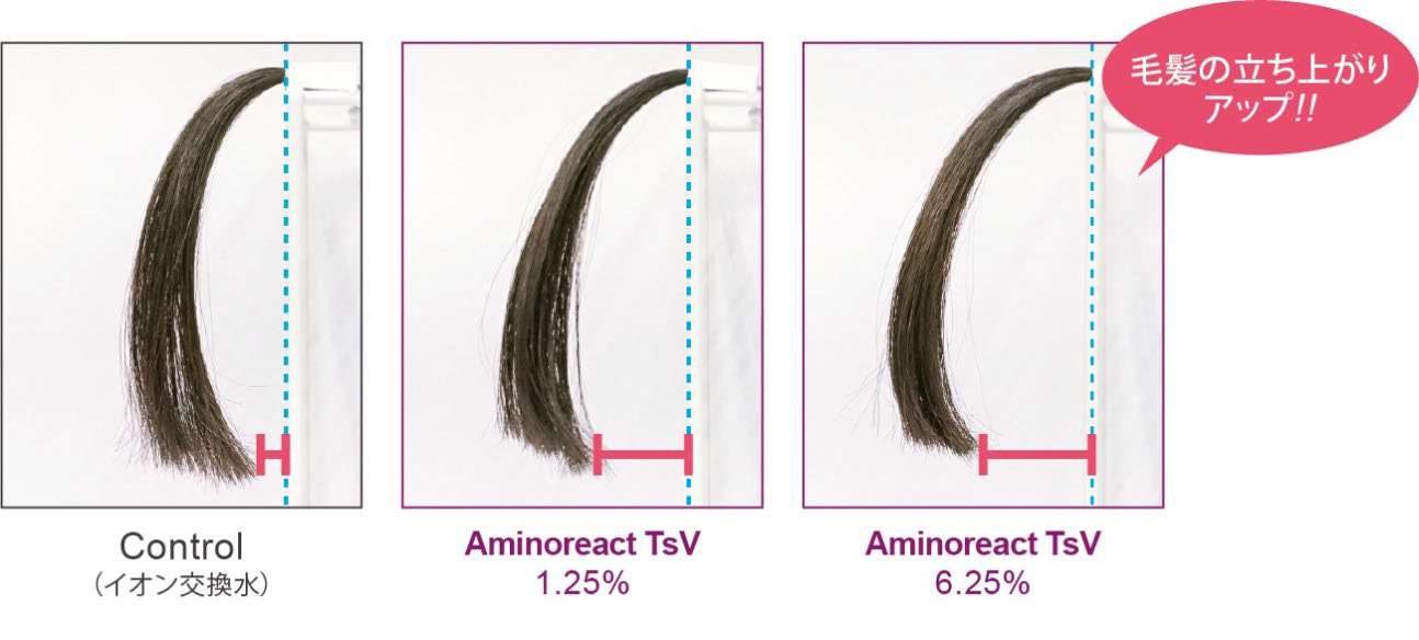 Aminoreact TsV による毛髪のボリュームアップ効果